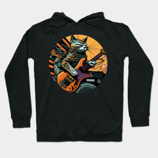 Funny Cat Playing Guitar - Cat Lover Hoodie